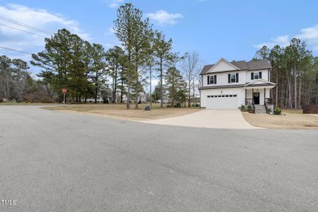 New construction Single-Family house 15 Mulberry Place, Spring Hope, NC 27882 - photo 4 4