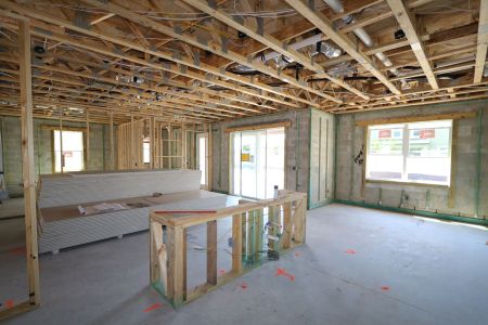 New construction Single-Family house 33202 Amling Pecan Branch, Wesley Chapel, FL 33545 Coronado II- photo 14 14