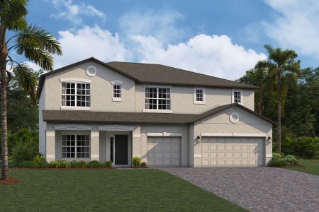 New construction Single-Family house 10805 Rolling Moss Road, Tampa, FL 33647 - photo 10 10