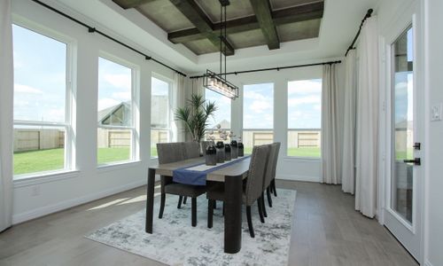 New construction Single-Family house 431 Blue River Trail, Rosenberg, TX 77471 Classic Series - Princeton- photo 6 6