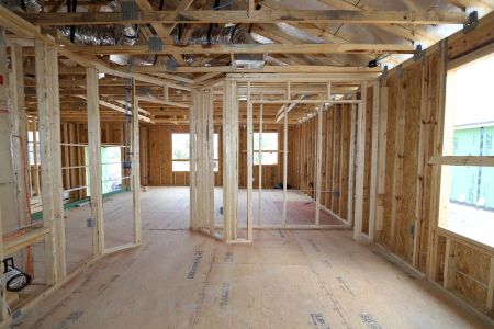 New construction Single-Family house 10605 New Morning Drive, Tampa, FL 33647 Sonoma II- photo 18 18