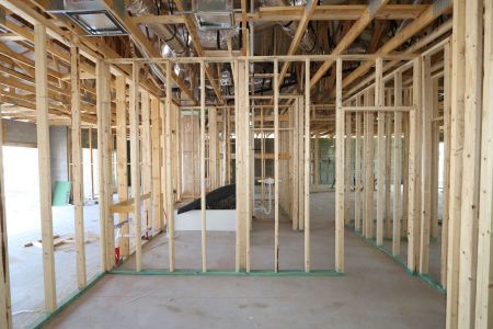 New construction Single-Family house 32568 Sapna Chime Drive, Wesley Chapel, FL 33545 Barcello- photo 26 26