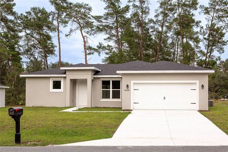 New construction Single-Family house 16195 Sw 24Th Terrace, Ocala, FL 34473 - photo 0 0