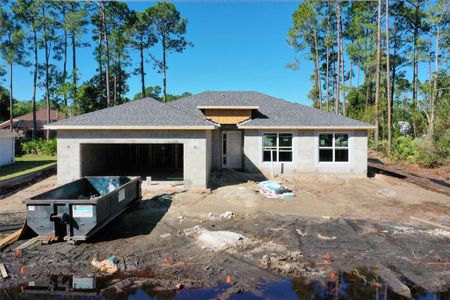 New construction Single-Family house 39 Boxwood Lane, Palm Coast, FL 32137 Heron- photo 11 11