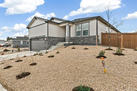 New construction Single-Family house 4469 Soapberry Place, Castle Rock, CO 80108 - photo 0