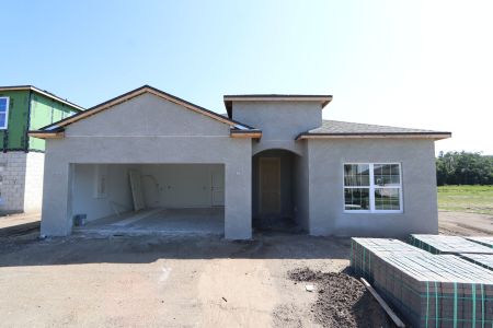New construction Single-Family house 10712 New Morning Drive, Tampa, FL 33647 Madeira II- photo 0 0
