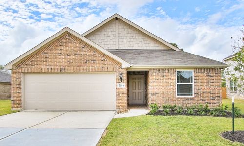 New construction Single-Family house Country Line Road, Elgin, TX 78621 - photo 2 2