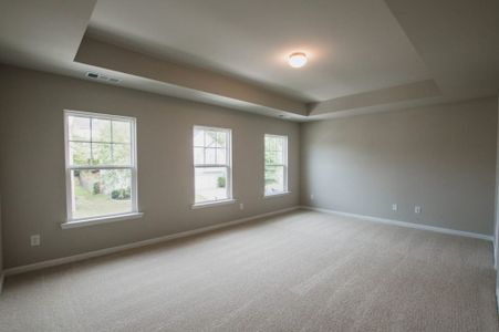 New construction Single-Family house 3844 Ball Ground Highway, Canton, GA 30114 - photo 15 15