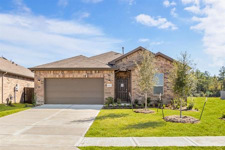 New construction Single-Family house 21604 Elmheart Drive, New Caney, TX 77357 - photo 9 9