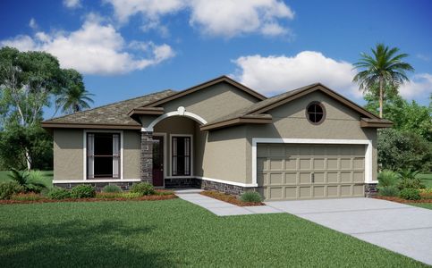 New construction Single-Family house Venezia, 11328 Weaver Hollow Road, New Port Richey, FL 34654 - photo
