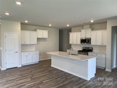 New construction Single-Family house 144 Pampas Place, Unit BF5 125, Statesville, NC 28625 - photo 2 2