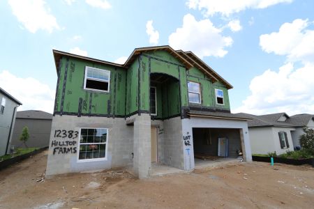 New construction Single-Family house 12383 Hilltop Farms Drive, Dade City, FL 33525 Malibu- photo 51 51