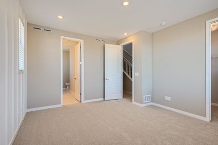 New construction Townhouse house 8416 Mount Ouray Road, Littleton, CO 80125 - photo 33 33
