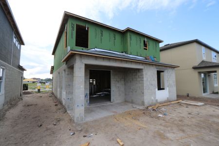 New construction Single-Family house 5254 Currant Street, Lakeland, FL 33811 Marina- photo 35 35
