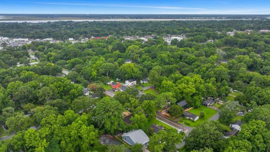 New construction Single-Family house 1565 Juniper Street, Charleston, SC 29407 - photo 59 59