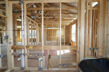 New construction Single-Family house 10710 New Morning Drive, Tampa, FL 33647 Coronado II- photo 22 22
