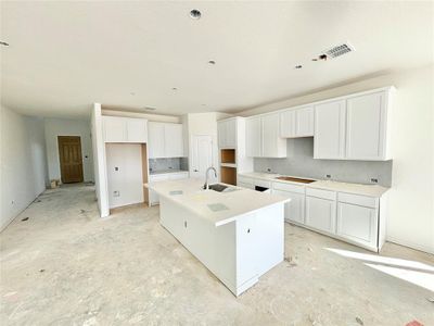 New construction Single-Family house 422 Biscayne Bay Bnd, Kyle, TX 78640 Premier Series - Rosewood- photo 2 2