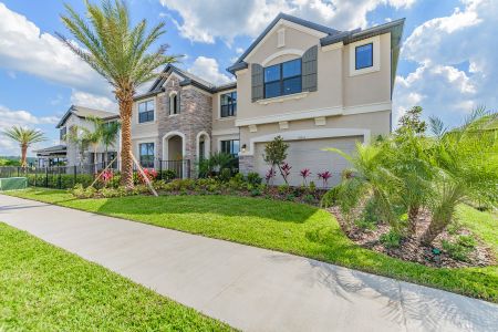 New construction Single-Family house 10803 Rolling Moss Road, Tampa, FL 33647 Grandsail  III- photo 4 4