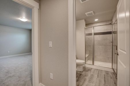 New construction Townhouse house 6248 Vernazza Way, Windsor, CO 80550 - photo 99 99