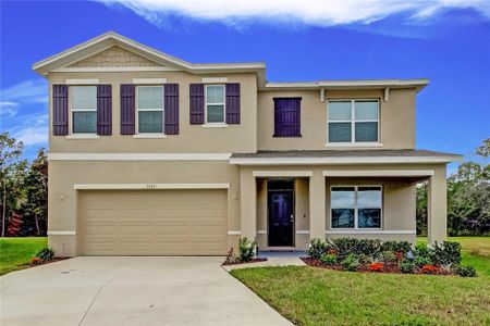 New construction Single-Family house 33351 Apricot Tree Court, Wesley Chapel, FL 33543 - photo 0