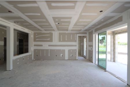 New construction Single-Family house 7719 Notched Pine Bend, Wesley Chapel, FL 33545 Palazzo- photo 53 53