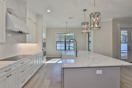 New construction Single-Family house 1310 State Street, Tampa, FL 33606 - photo 5 5