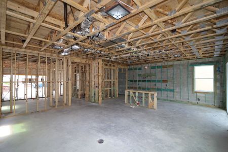 New construction Single-Family house 2852 Misty Marble Drive, Zephyrhills, FL 33540 Castellana- photo 31 31