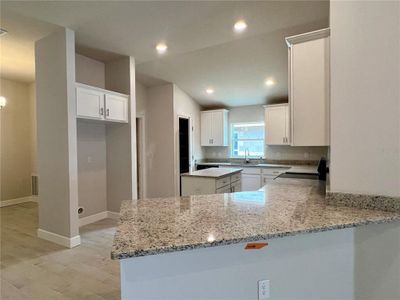 New construction Single-Family house 36072 Welsh Glade Road, Dade City, FL 33525 - photo