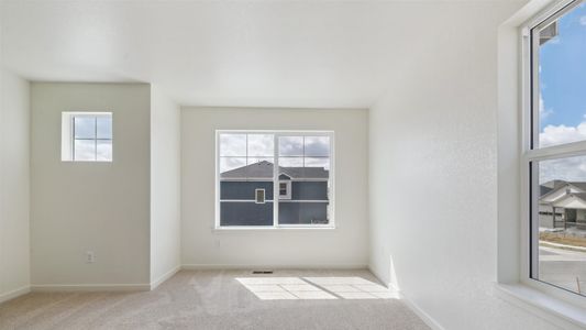 New construction Single-Family house 4564 Cattle Cross Rd, Castle Rock, CO 80104 Holcombe- photo 19 19