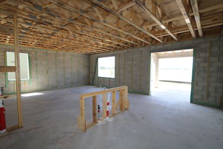 New construction Single-Family house 2881 Misty Marble Drive, Zephyrhills, FL 33540 Castellana- photo 29 29