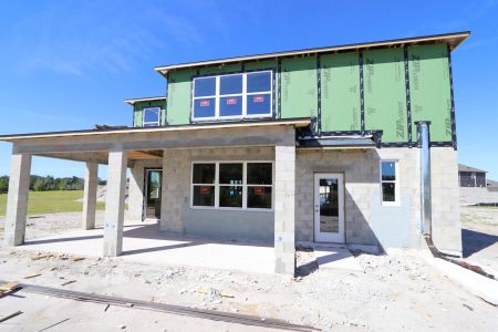 New construction Single-Family house 5263 Peony Court, Lakeland, FL 33811 Mira Lago- photo 11 11
