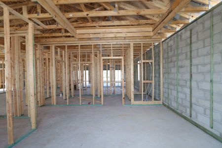 New construction Single-Family house 4778 Beachrose Way, Lakeland, FL 33811 Barcello- photo 16 16