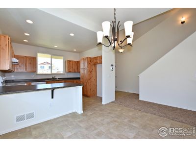 New construction Single-Family house 2315 Graceful St, Windsor, CO 80550 The Michigan- photo 15 15