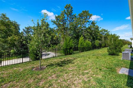 New construction Single-Family house 6064 Timberdale Avenue, Wesley Chapel, FL 33545 Largo- photo 15 15