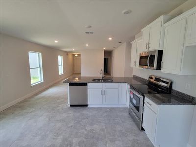 New construction Single-Family house 36186 Trinity Glade Road, Dade City, FL 33525 1415- photo 10 10