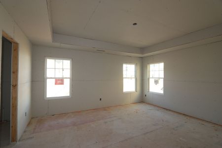 New construction Single-Family house 3005 June Lake Station, Apex, NC 27502 Viola - Premier Collection- photo 13