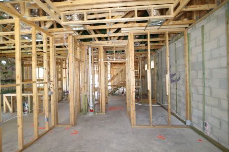 New construction Single-Family house 2868 Misty Marble Drive, Zephyrhills, FL 33540 Herrera- photo 61 61