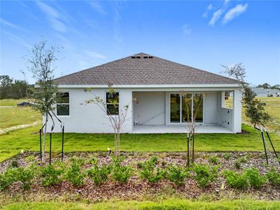 New construction Single-Family house 3951 Kennebunk Loop, Mount Dora, FL 32757 St. Thomas- photo 50 50