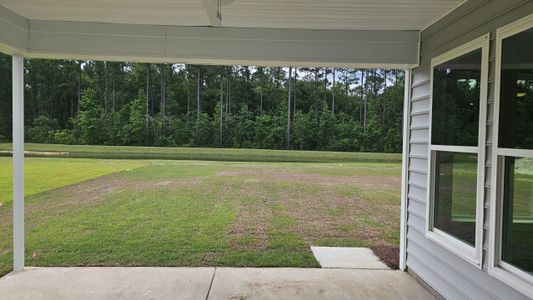 New construction Single-Family house 173 Huguenot Trail, Huger, SC 29450 Edgefield- photo 6 6