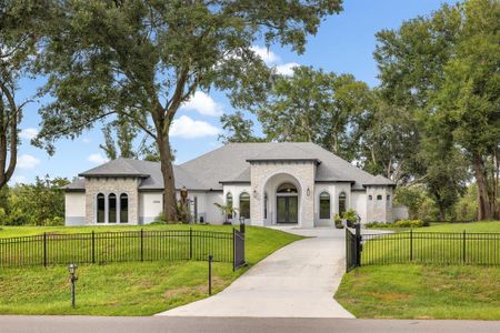 New construction Single-Family house 20404 Wolf Springs, Clermont, FL 34715 - photo 4 4