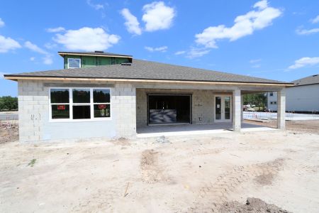 New construction Single-Family house 10609 New Morning Drive, Tampa, FL 33647 Corina  III Bonus- photo 13 13