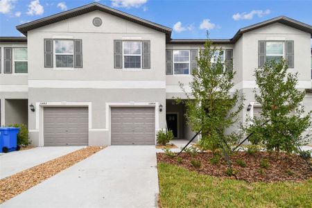 New construction Townhouse house 10444 Shady Preserve Drive, Riverview, FL 33578 - photo 3 3