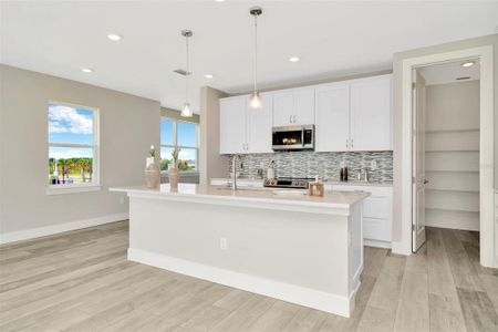 New construction Townhouse house 31830 Anchor Point Drive, Wesley Chapel, FL 33545 - photo 5 5