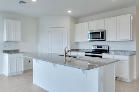New construction Single-Family house 5297 Greenheart Avenue, Mount Dora, FL 32757 - photo 18 18