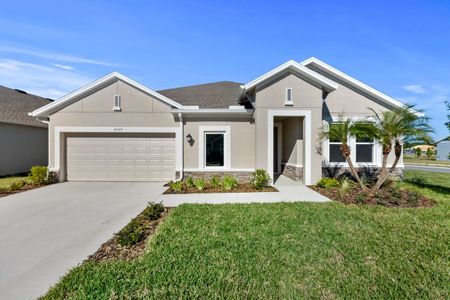 Isles at BayView by David Weekley Homes in Parrish - photo 7