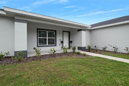 New construction Single-Family house 17 Portia Lane, Palm Coast, FL 32164 - photo 8 8