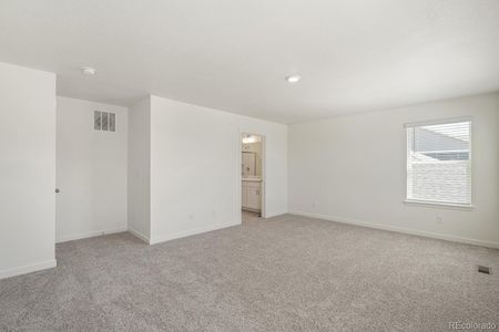 New construction Single-Family house 2729 72Nd Ave Ct, Greeley, CO 80634 BELLAMY- photo 19 19