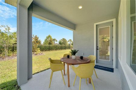 New construction Single-Family house 5414 Silver Sun Drive, Apollo Beach, FL 33572 - photo 43 43