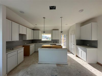New construction Single-Family house 1816 Garrett Oaks Ln, Georgetown, TX 78633 Journey Series - Meridian- photo 5 5