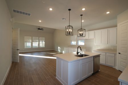 New construction Single-Family house 1037 Pansy Trail, Georgetown, TX 78628 Belmont II- photo 38 38